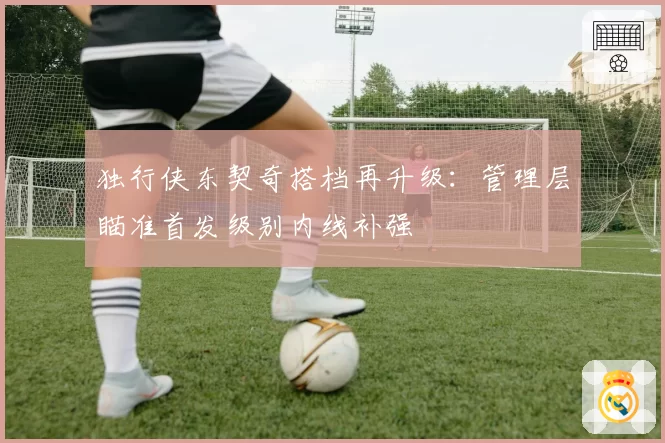 独行侠东契奇搭档再升级:管理层瞄准首发级别内线补强