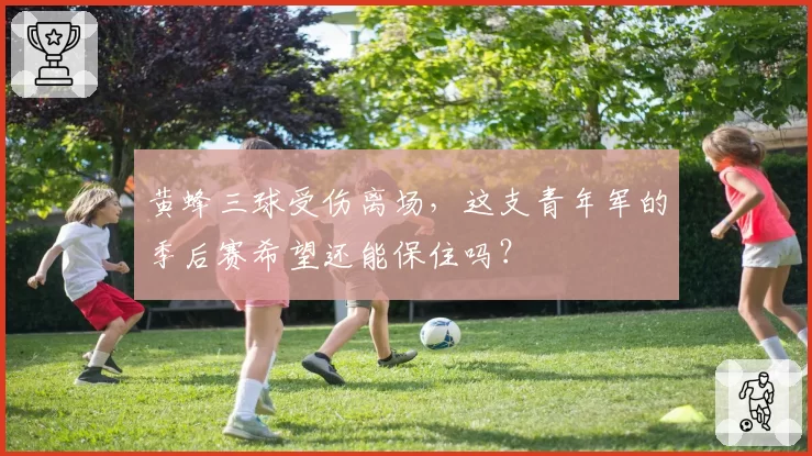 黄蜂三球受伤离场，这支青年军的季后赛希望还能保住吗？